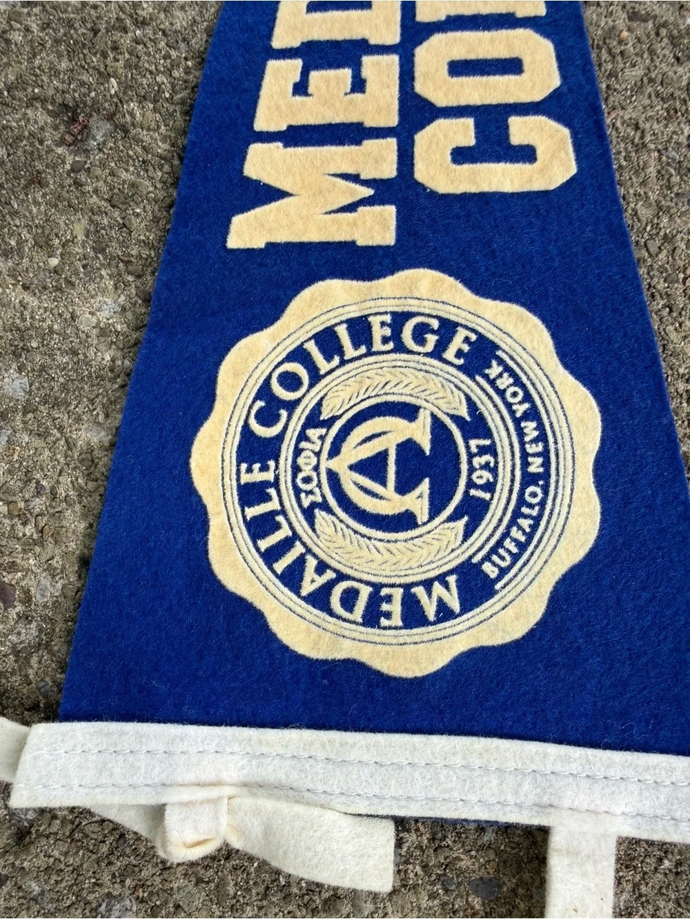 Medaille College Blue Felt Pennant